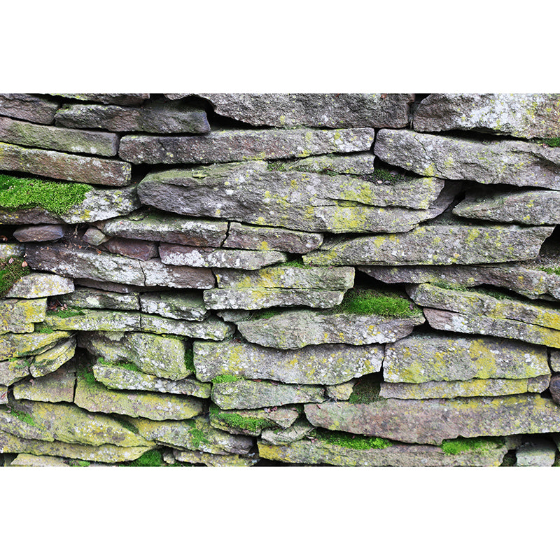 Industrial Style Stone Wallpaper Mural Mildew Resistant Decorative Living Room Wall Mural