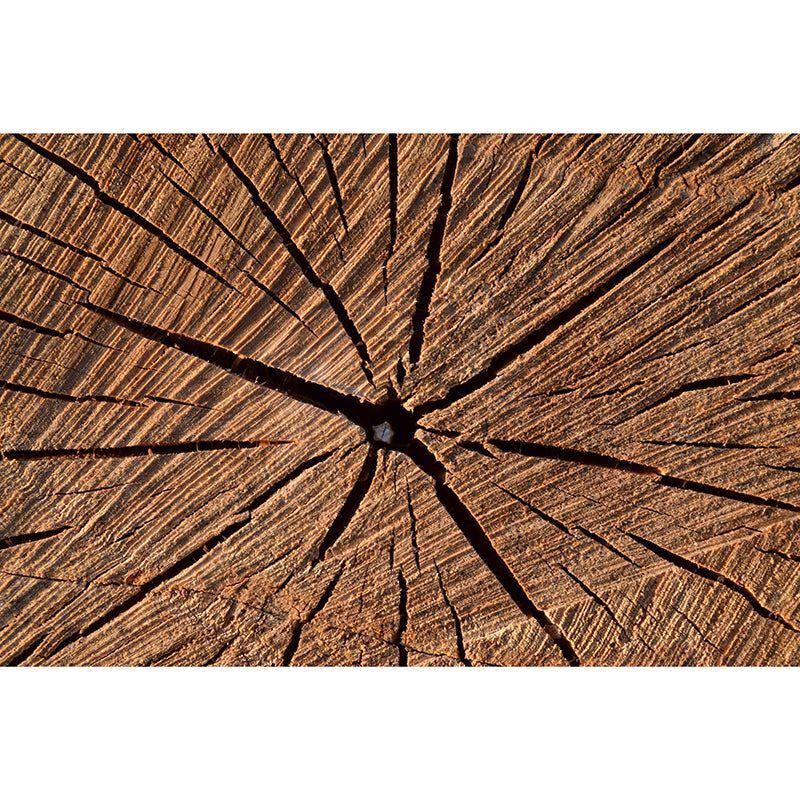 Wood Grain 3D Industrial Mural Wallpaper Mildew Resistant Decorative Wall Covering