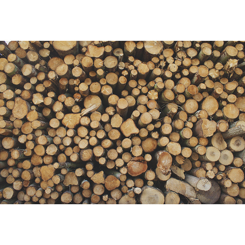 Customized Industrial Wood Grain Mural Mildew Resistant Decorative Wall Art