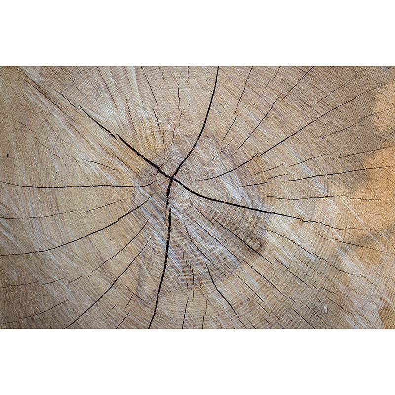 Eco-friendly Wood Grain Mural Mildew Resistant Decorative Living Room Wall Mural