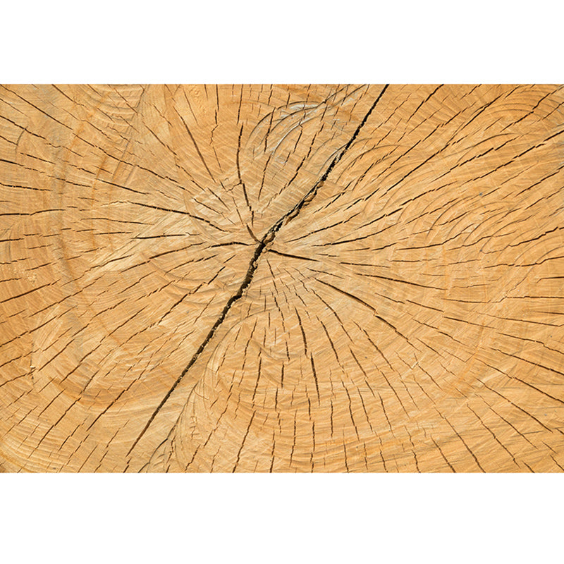 3D Mural Light Color Wood Grain Mural Mildew Resistant Decorative Bathroom Floor Mural