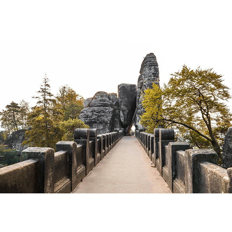 Forest Scene Mural Space Extension Wall Mural Mildew Resistant Decorative Wall Art