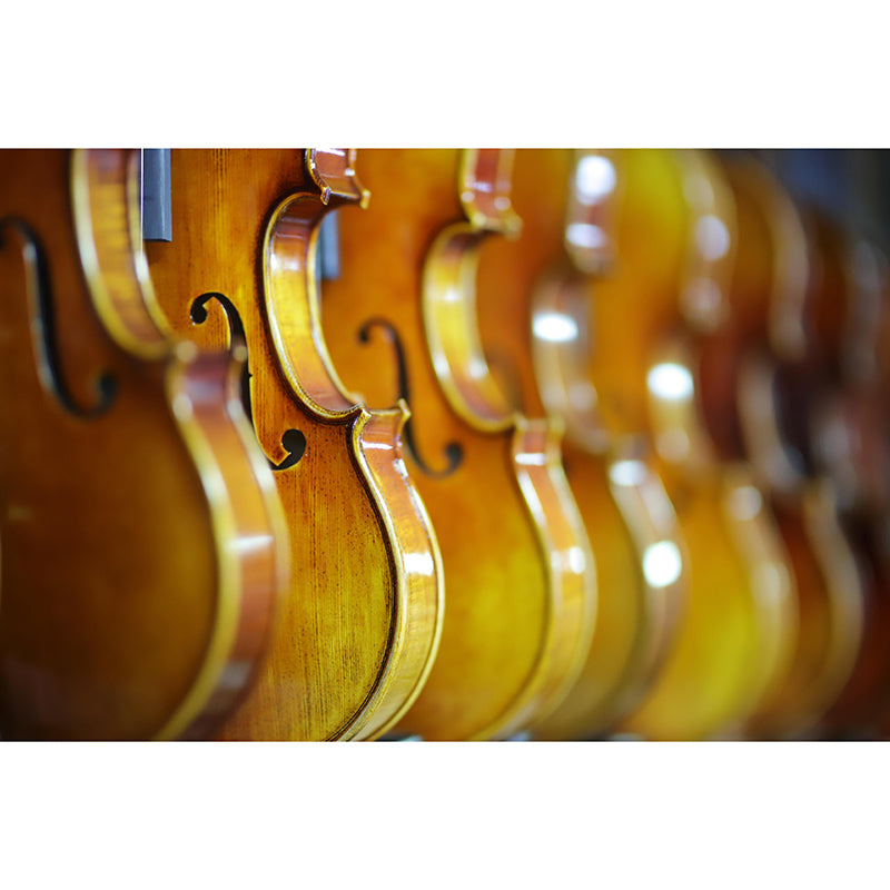 Guitar Violin Horizontal Photography Mural Decorative Eco-friendly for Dancing Room