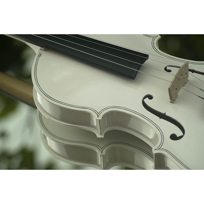 Violin Music Horizontal Photography Guitar Mural Decorative Eco-friendly for Wall Decor