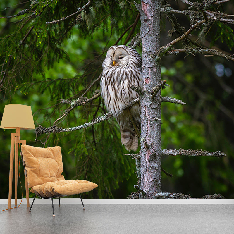 Contemporary Style Wild Animal Mural Mildew Resistant for Bedroom