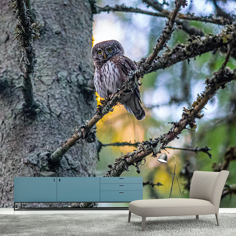 Mildew Contemporary Style Wild Animal Mural Wallpaper Resistant Wall Art