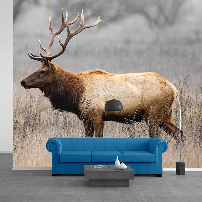 Mildew Contemporary Style Wild Animal Mural Wallpaper Resistant Wall Art