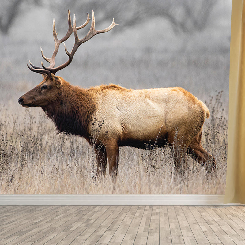 Mildew Contemporary Style Wild Animal Mural Wallpaper Resistant Wall Art