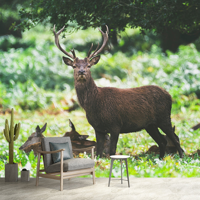 3D Mural Contemporary Style Wild Animal Mural Mildew Resistant Wall Art