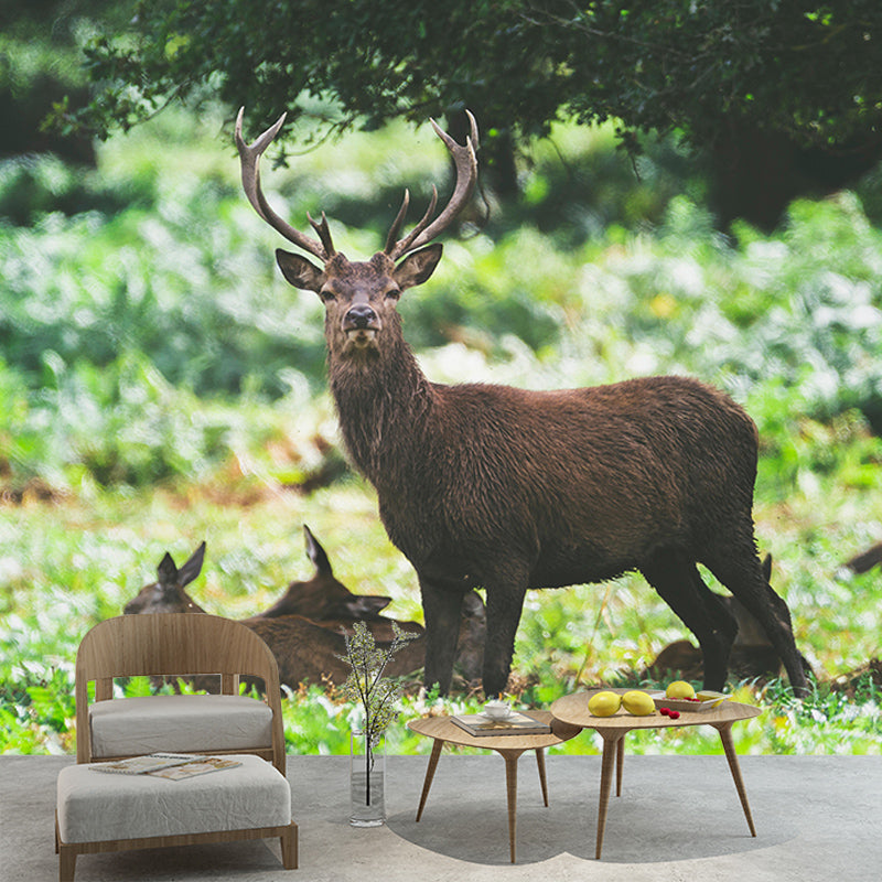 3D Mural Contemporary Style Wild Animal Mural Mildew Resistant Wall Art