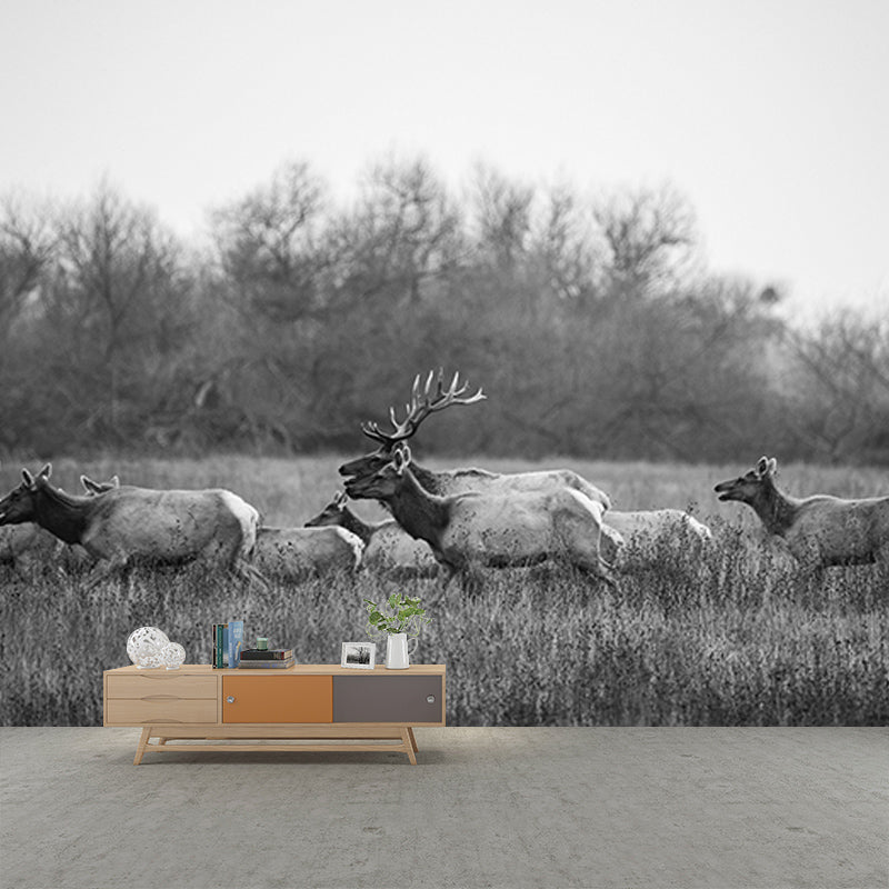 3D Mural Contemporary Style Wild Animal Mural Mildew Resistant Wall Art