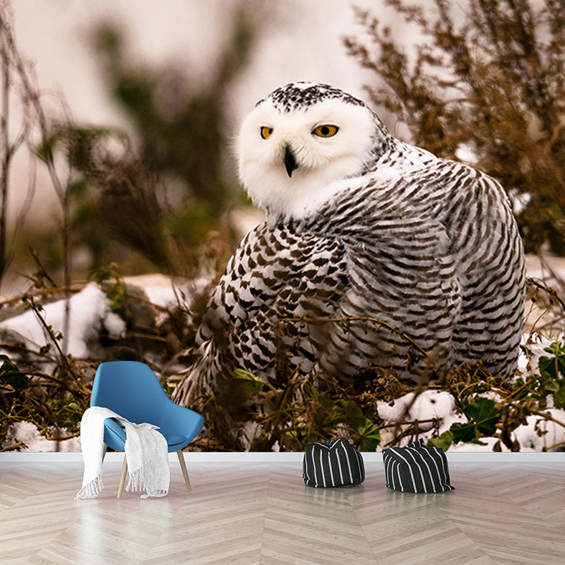 Vivid Animal Contemporary Style Wild Animal Mural Mildew Resistant Wall Covering