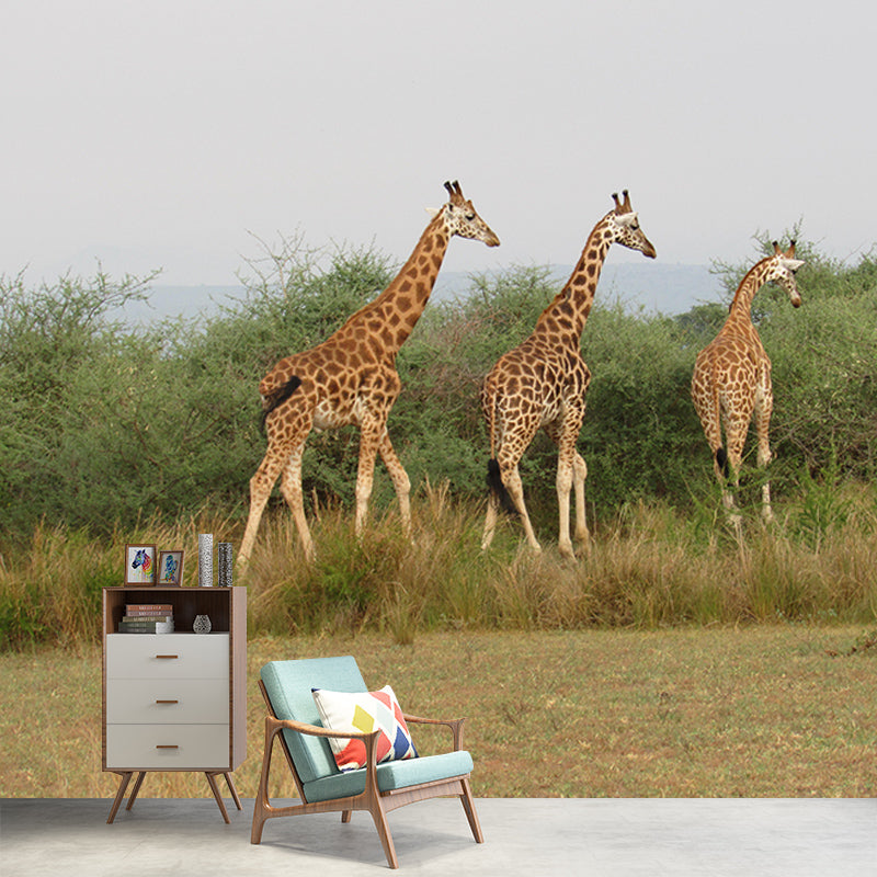 Vivid Animal Contemporary Style Wild Animal Mural Mildew Resistant Wall Covering