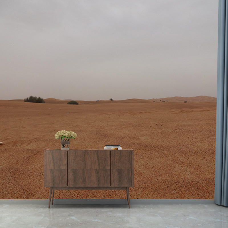 Contemporary Style Desert Wall Mural Mildew Resistant Wall Decor