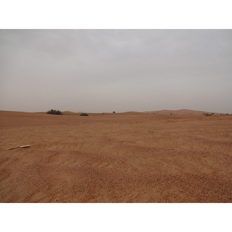 Contemporary Style Desert Wall Mural Mildew Resistant Wall Decor