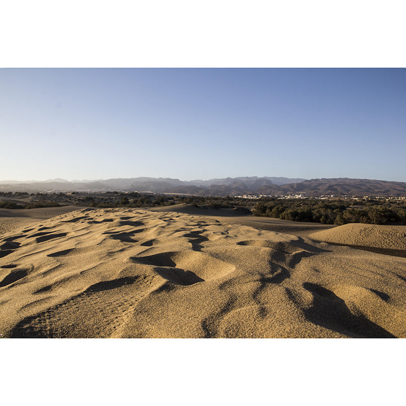 Contemporary Style Desert Wall Mural Mildew Resistant Home Decor