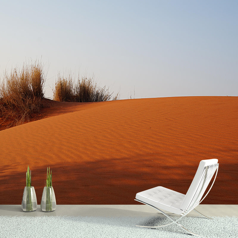 Desert Wall Contemporary Style Mural Wallpaper Mildew Resistant Wall Art