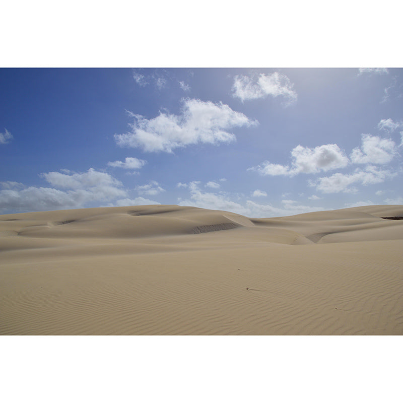 Desert Wall Contemporary Style Mural Wallpaper Mildew Resistant Wall Art