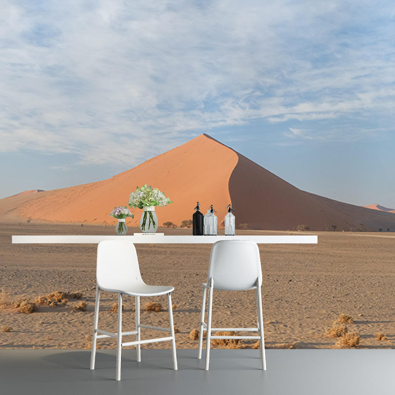 Desert Wall Contemporary Style Mural Wallpaper Mildew Resistant Wall Art
