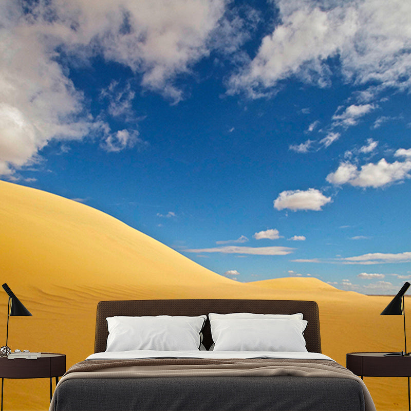 Desert Scene Contemporary Style Desert Wall Mural Mildew Resistant Wall Art