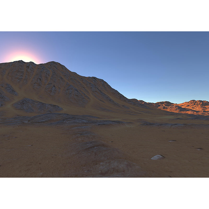 Natural Scene Contemporary Style Desert Wall Mural Mildew Resistant Wall Covering