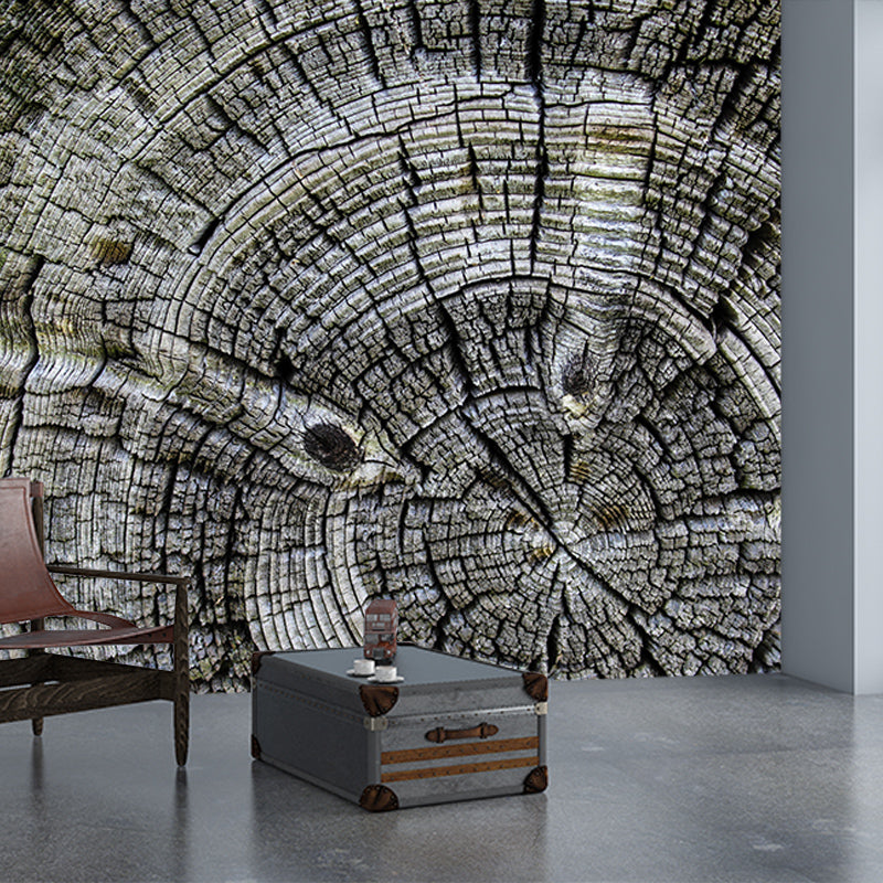 Industrial Style Wood Texture Mural Mildew Resistant for Living Room