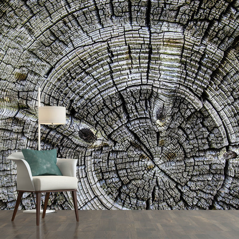 Industrial Style Wood Texture Mural Mildew Resistant for Living Room