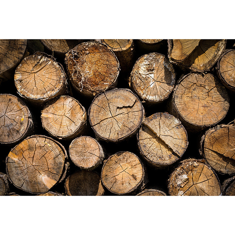 Industrial Style Wood Texture Mural Mildew Resistant for Home