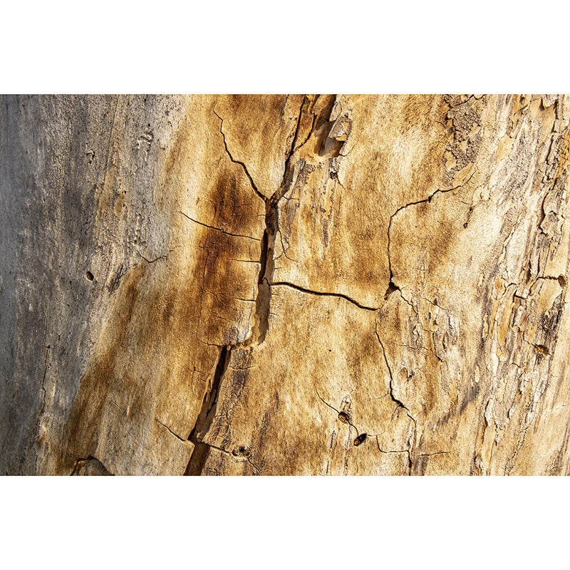 3D Print Industrial Style Wood Texture Mural Mildew Resistant Home Decor