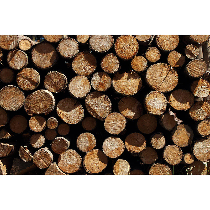 Wall Art Industrial Style Wood Texture Mural Wallpaper Mildew Resistant