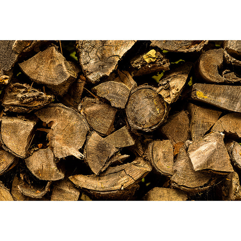 Vivid 3D Industrial Style Wood Texture Mural Mildew Resistant Wall Covering