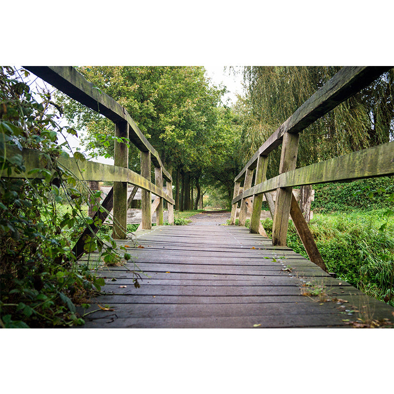 Environment Friendly Space Extension Mural Wallpaper Photography Wall Decor