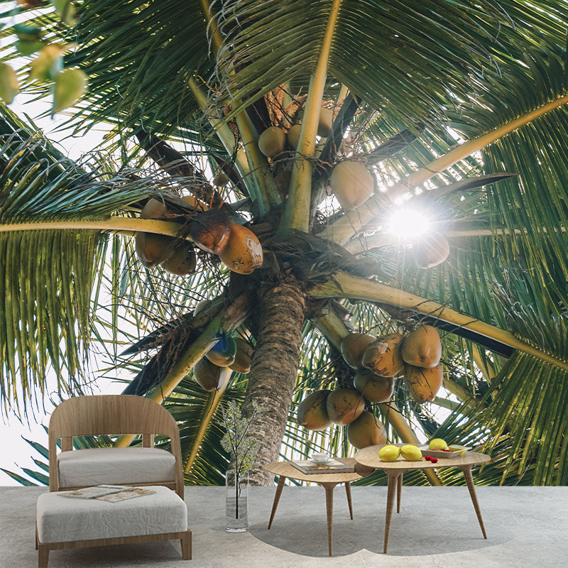 Mildew Resistant Tropical Palm Mural Wallpaper Photography Wall Covering