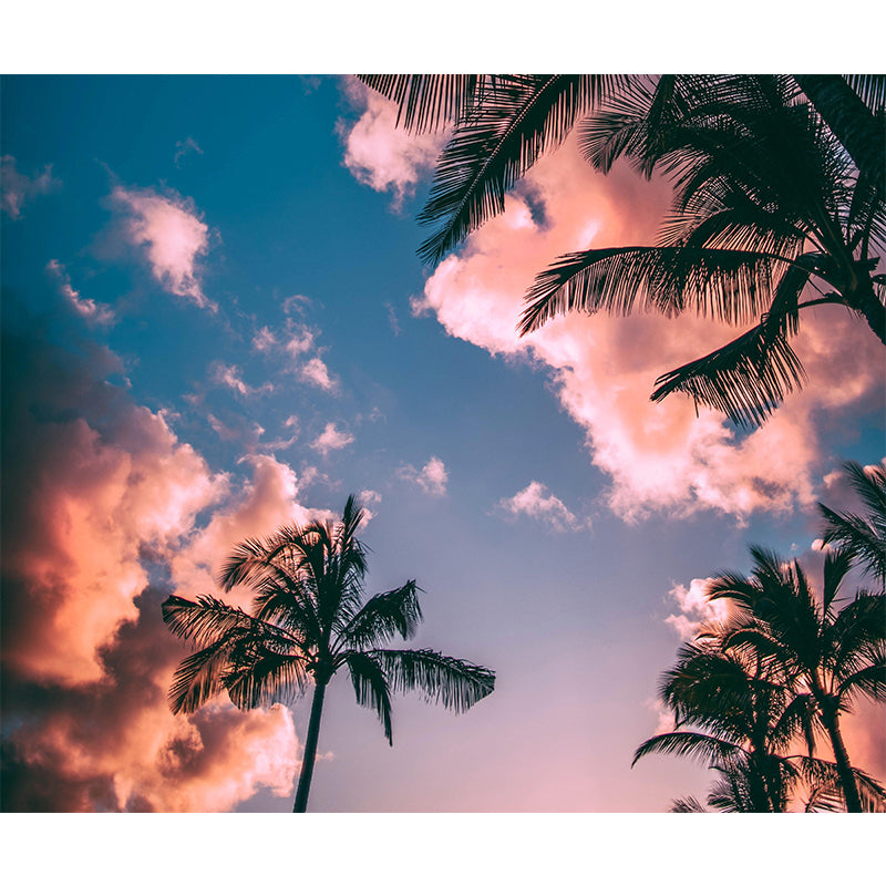 Tropical Palm Mildew Resistant Mural Wallpaper Decorative Photography Wall Covering