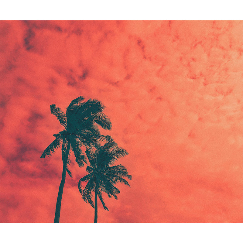 Tropical Palm Tree Mildew Resistant Mural Wallpaper Decorative Photography Home Decor