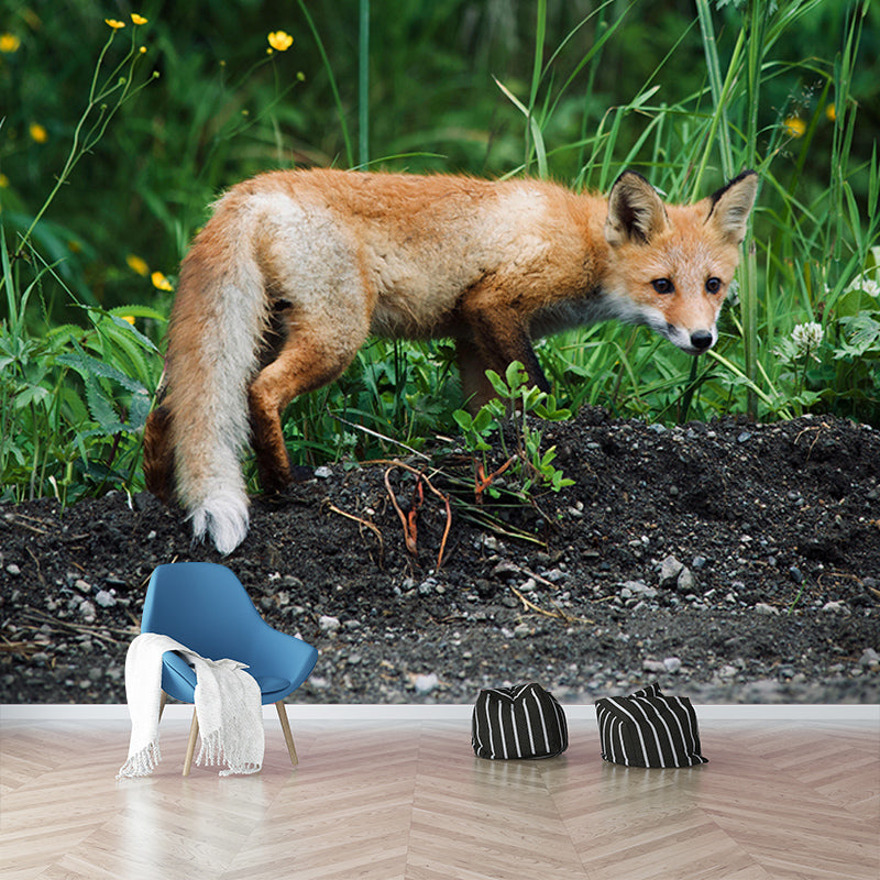 Natural Scene Wall Decor Wild Animal Mural Horizontal Photography Sleeping Room Wall Mural