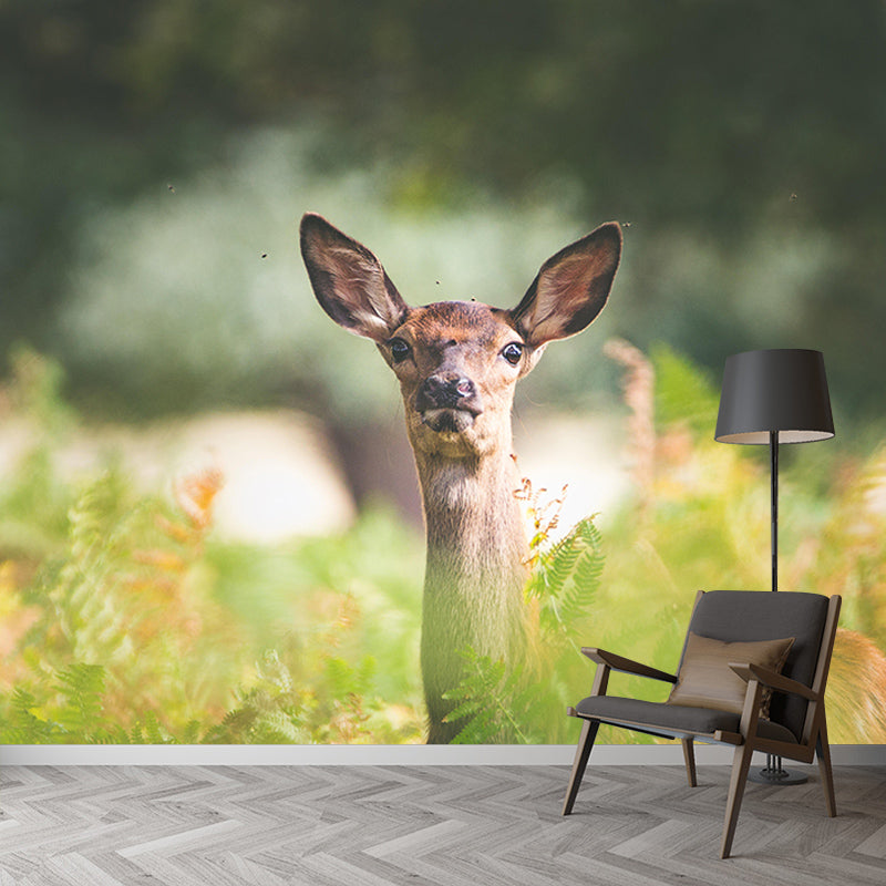 Natural Scene Wall Decor Wild Animal Mural Horizontal Photography Sleeping Room Wall Mural