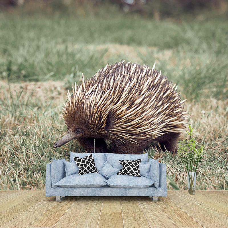 Zebra 3D Wallpaper Wild Animal Mural Horizontal Photography Sitting Room Wall Mural