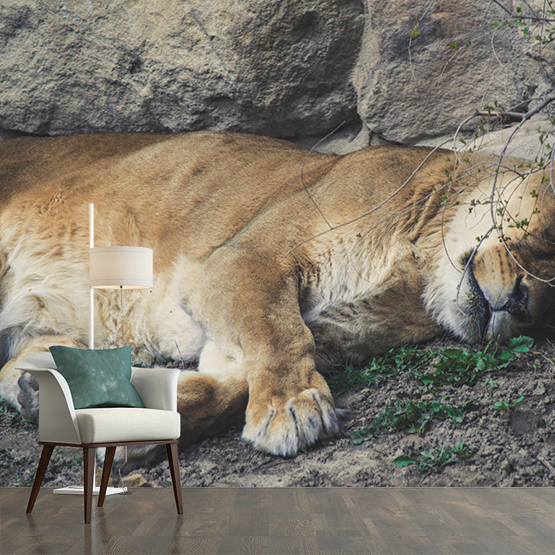 Contemporary Style Wild Animal Mural Horizontal Photography Sitting Room Wall Mural