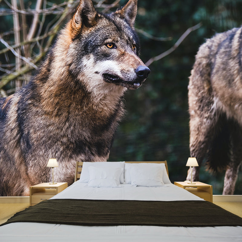 Wild Animal Contemporary Mural Horizontal Photography Bedroom Wall Mural