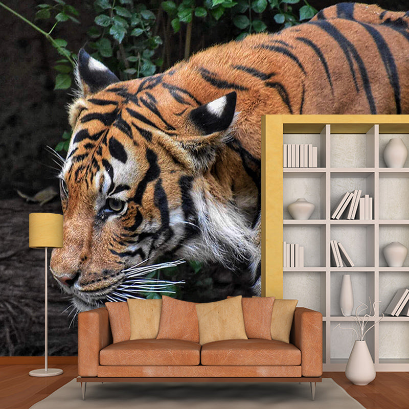 Natural Scene Contemporary Wild Animal Mural Horizontal Photography Bedroom Wall Mural