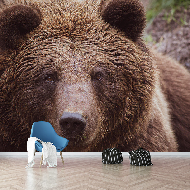 Contemporary Style Wild Animal Mural Horizontal Photography Room Wall Mural