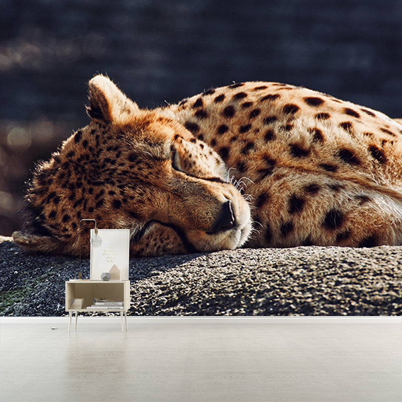 Contemporary Style Wild Animal Mural Horizontal Photography Room Wall Mural