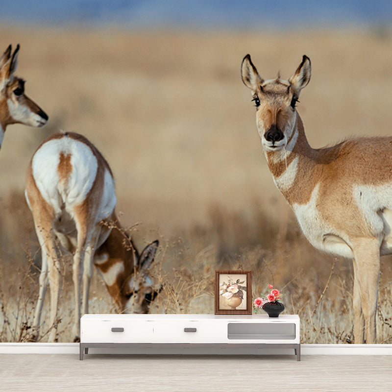 Mural Contemporary Wild Animal Horizontal Photography Living Room Wall Mural