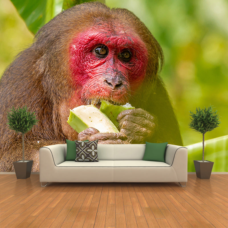 Mural Contemporary Wild Animal Horizontal Photography Living Room Wall Mural