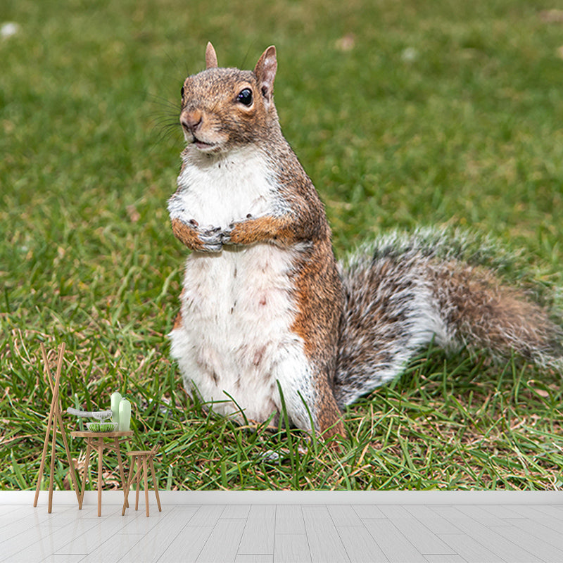 Mural Contemporary Wild Animal Horizontal Photography Living Room Wall Mural