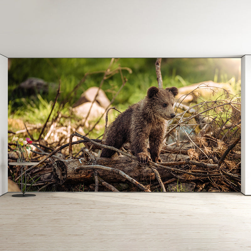 Wild Animal Contemporary Style Mural Horizontal Photography Living Room Wall Mural