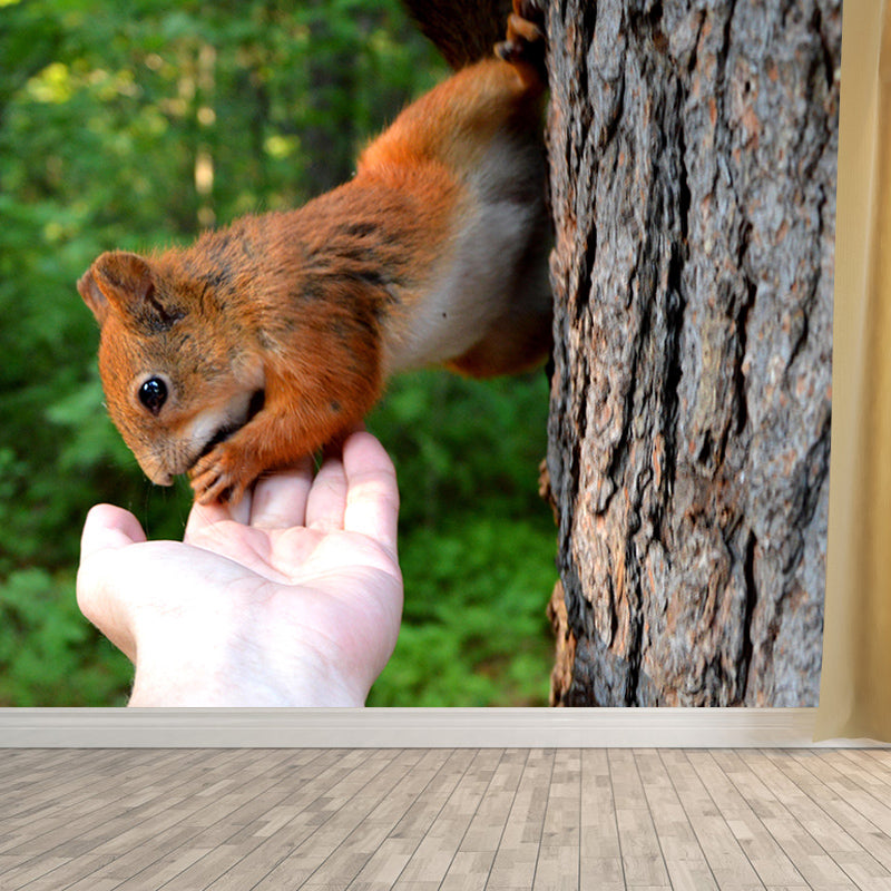 Wild Animal Contemporary Style Mural Horizontal Photography Living Room Wall Mural