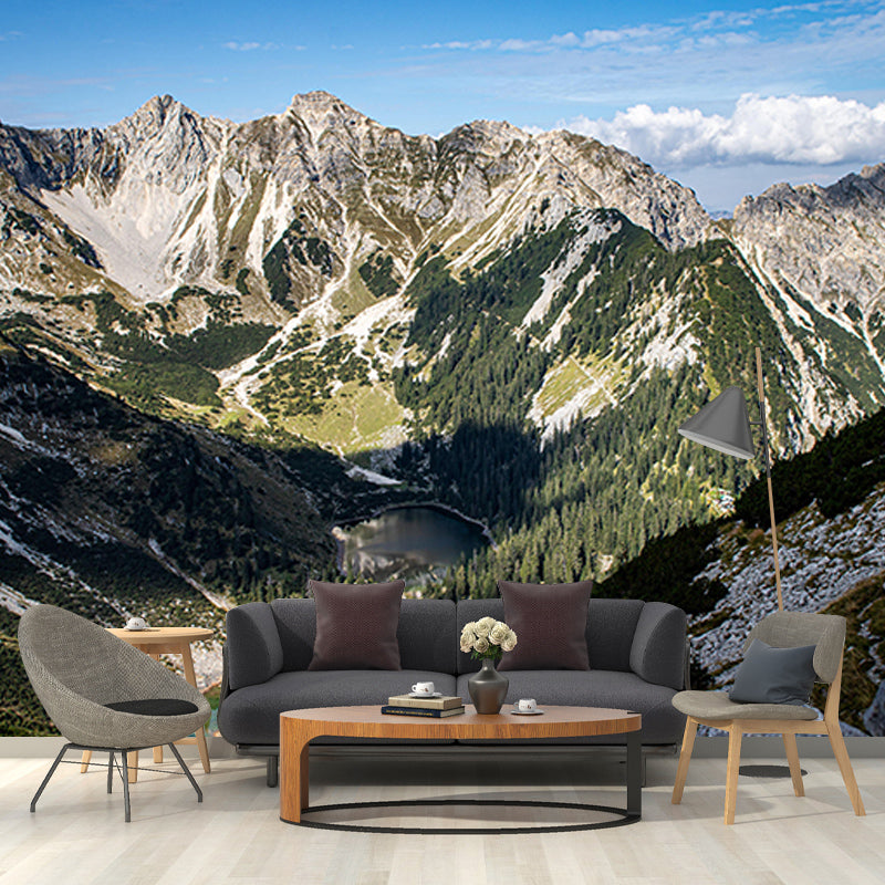 Mountain Scene Contemporary Style Mural Photography Living Room Wall Mural