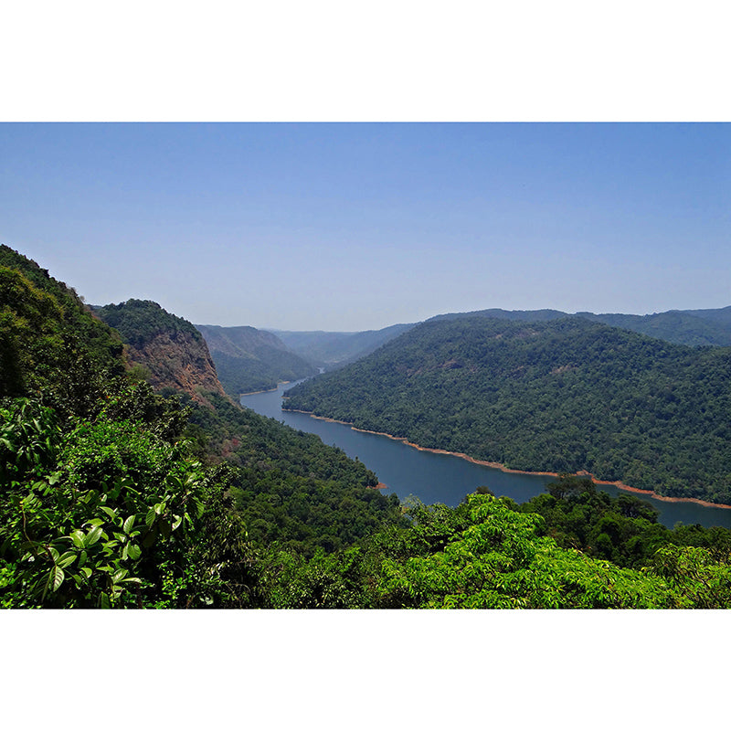 Forest Mountain Contemporary Style Mural Horizontal Photography Bedroom Wall Mural